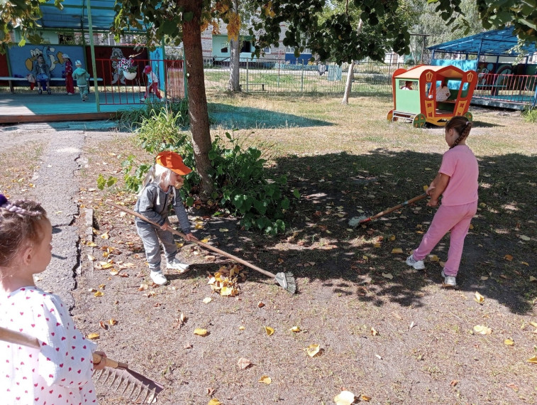 Трудовой десант.